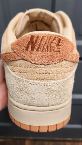 Nike Dunk Low Burnt Sunrise | Mens 12 / Womens 13.5 | Peaches And Cream Orange