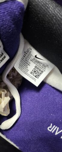 Nike SB Dunk Low Pro Court Purple | Mens 11.5 | Black White Purple Panda