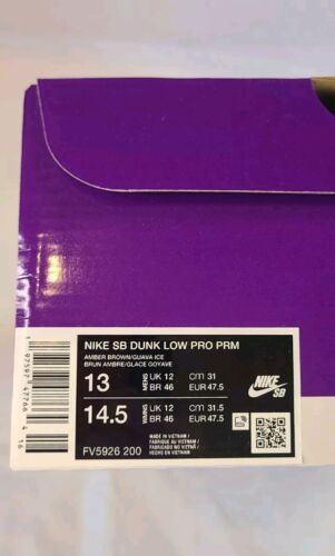 Nike SB Dunk Low Pro Trocadero Gardens | Mens Sz 13 | 2024 Paris Art Neapolitan