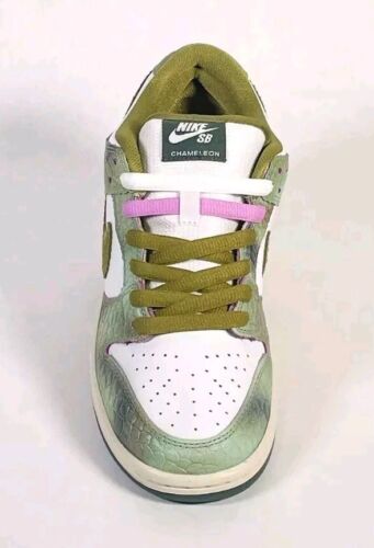 Nike SB Dunk Low Pro x Alexis Sablone Chameleon |Mens Sz 12 |Wear Away Materials