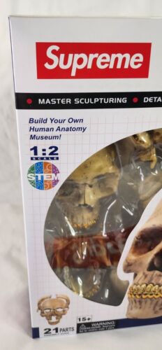 4D Supreme Human Skull With Gold Grill FW2023 Model / Puzzle NEW IN BOX!
