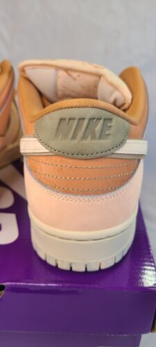 Nike SB Dunk Low Pro Trocadero Gardens | Mens Sz 13 | 2024 Paris Art Neapolitan