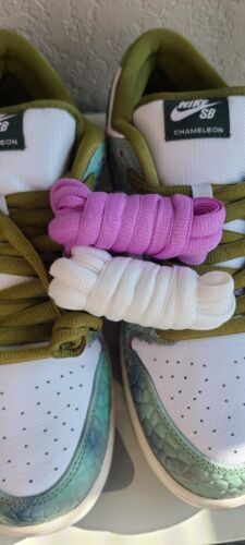 Nike SB Dunk Low Pro x Alexis Sablone Chameleon | Mens Size 10.5 | Wear Away!π₯