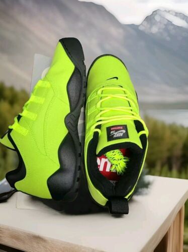 Nike SB x Supreme Darwin Low Volt | Mens Size 11.5 | NeW 2024 Skate Sneakers