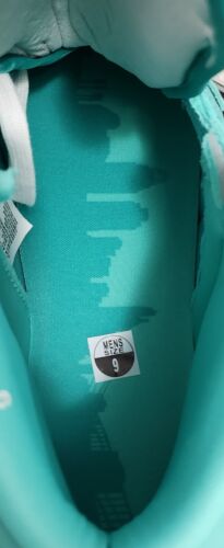 Corporate x Jordan Air Ship PE SP "GOT EM" | Mens Sz 9 | Aqua Green Hairy Suede