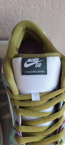Nike SB Dunk Low Pro x Alexis Sablone Chameleon | Mens Size 10.5 | Wear Away!π₯