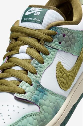 Nike SB Dunk Low Pro x Alexis Sablone Chameleon |Mens Sz 12 |Wear Away Materials