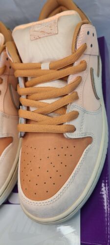 Nike SB Dunk Low Pro Trocadero Gardens | Mens Sz 13 | 2024 Paris Art Neapolitan