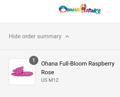 Takashi Murakami Ohana Full-Bloom Raspberry Rose | Mens 12 | Soft Pink Foam š„