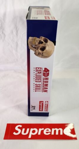 4D Supreme Human Skull With Gold Grill FW2023 Model / Puzzle NEW IN BOX!