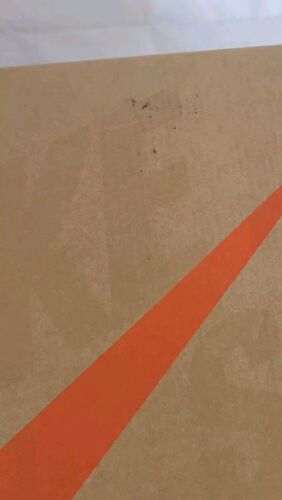 Nike SB Dunk Low Pro ISO Triple White | Mens Size 13 | NEW 2024 Orange Label 🔥
