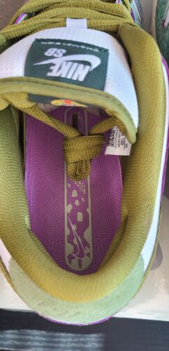 Nike SB Dunk Low Pro x Alexis Sablone Chameleon | Mens Size 10.5 | Wear Away!π₯