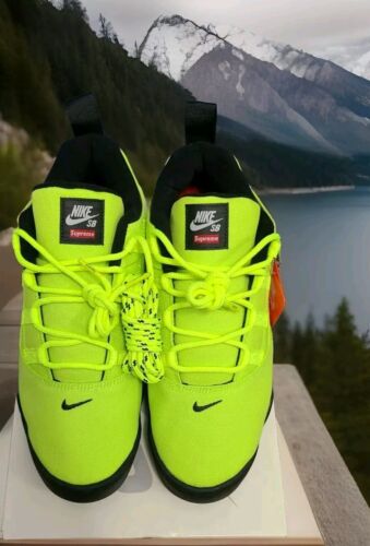 Nike SB x Supreme Darwin Low Volt | Mens Size 11.5 | NeW 2024 Skate Sneakers