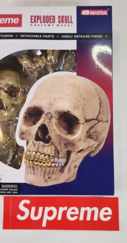 4D Supreme Human Skull With Gold Grill FW2023 Model / Puzzle NEW IN BOX!